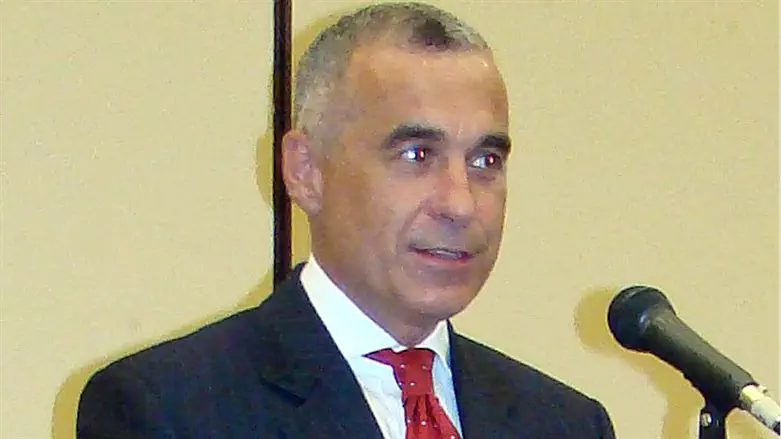 Calin Georgescu