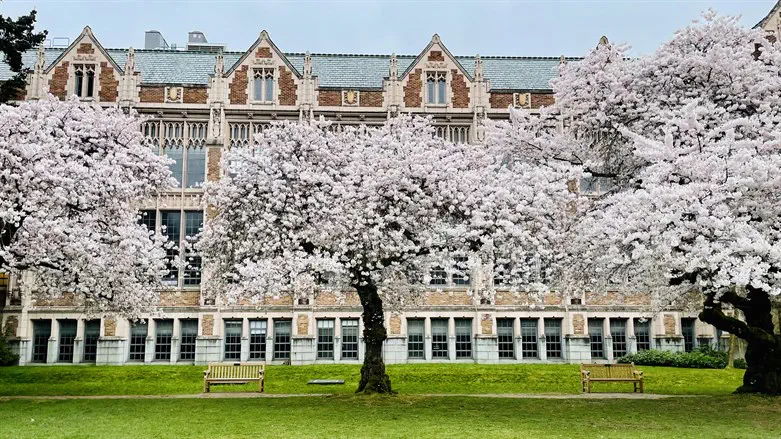 University campus (stock image)