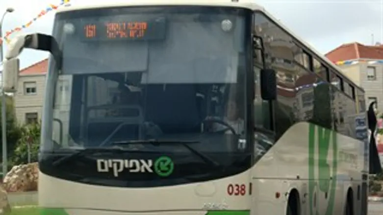 אוטובוס אפיקים תחבורה בשומרון אריאל 