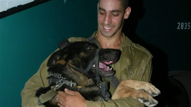 Военнослужащий с собакой. Иллюстрация