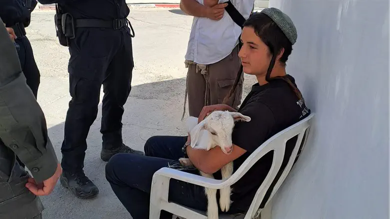 At the entrance to the Temple Mount with a goat