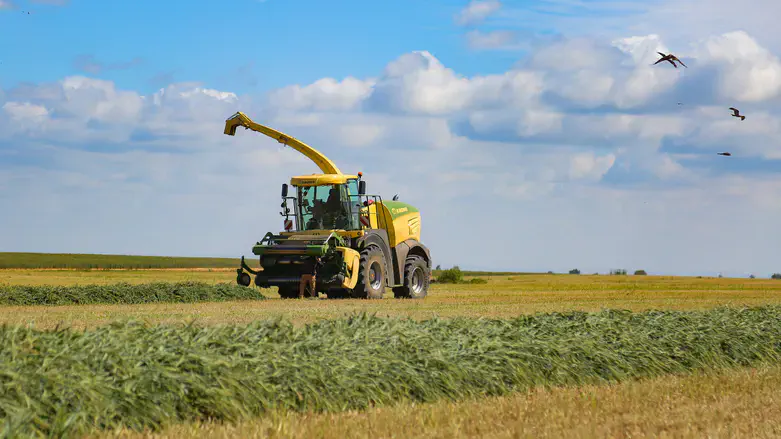 Farmers near the Gaza border (illustrative)