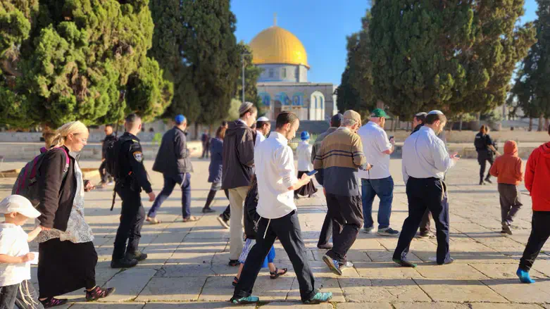 Jews on the Temple Mount