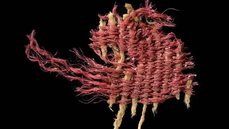 A fragment of the rare 3,800-year-old textile, dyed with the Kermes vermilio.