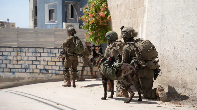 IDF soldiers operating in northern Samaria