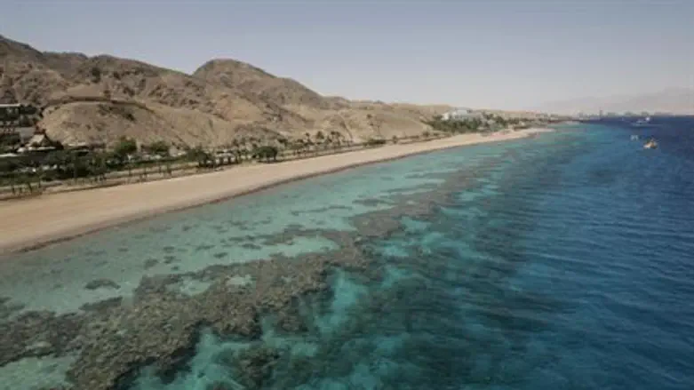 Coral beach at the Red Sea
