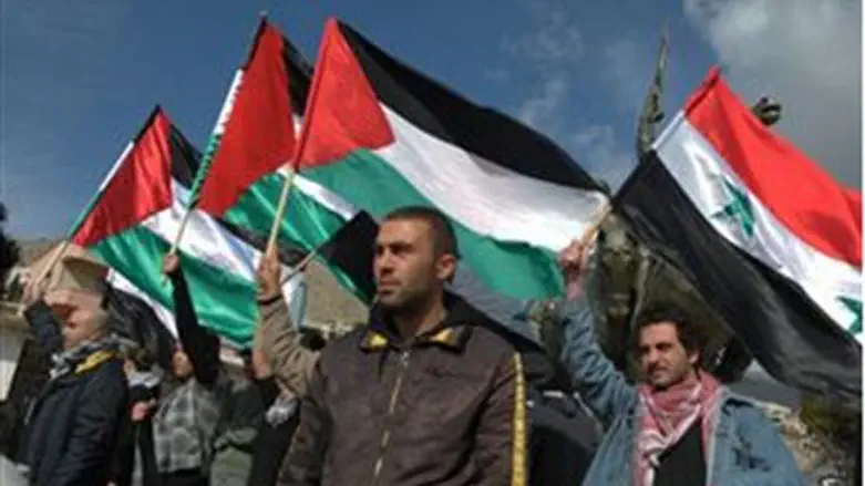 Druze protesters at Majdal Shams (file)