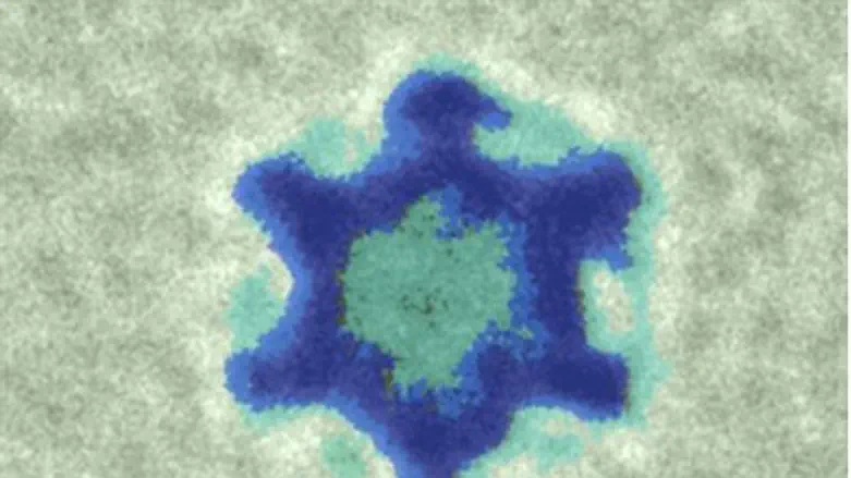 Nano Star of David: width 15 nanometer