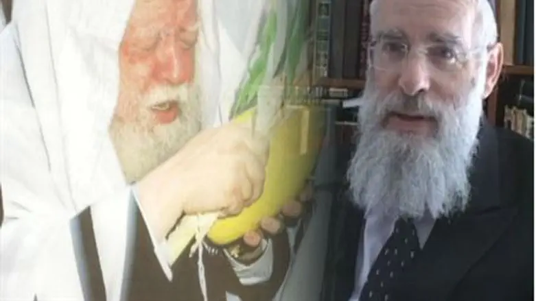 Rabbi Shapira