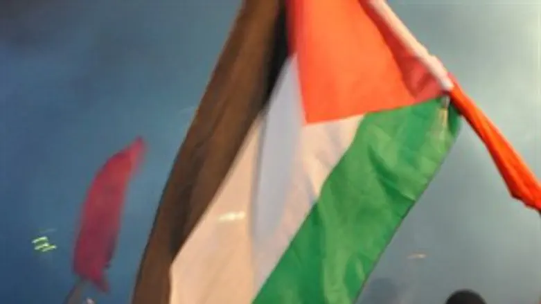 הונף. הדגל הפלסטיני
