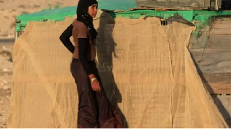 Young Bedouin woman.