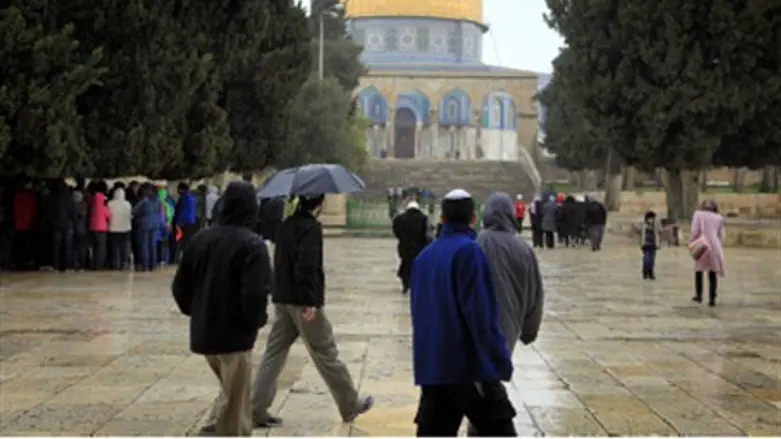  Arab children harass Jews on Temple Mount 