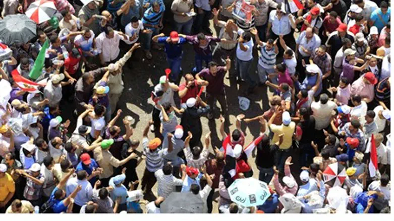 Cheering demonstrators in Tahrir Square