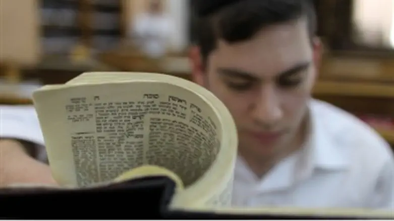 Talmud study