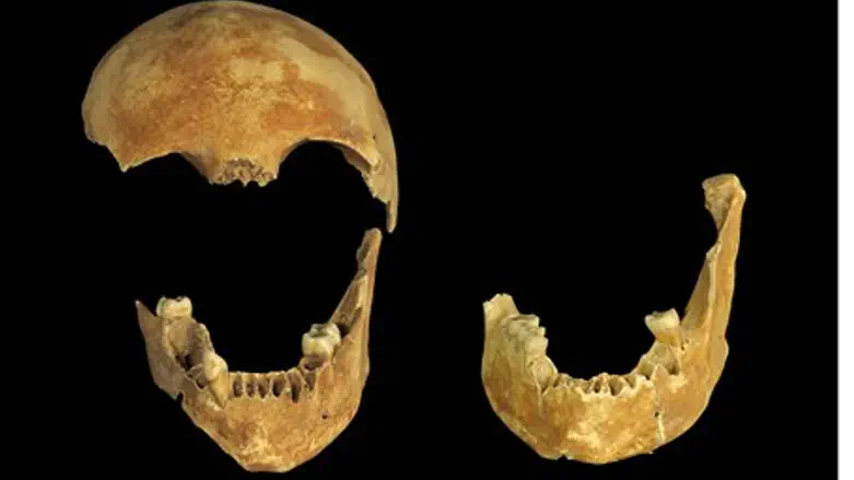 8,500 yr old skeletal remains