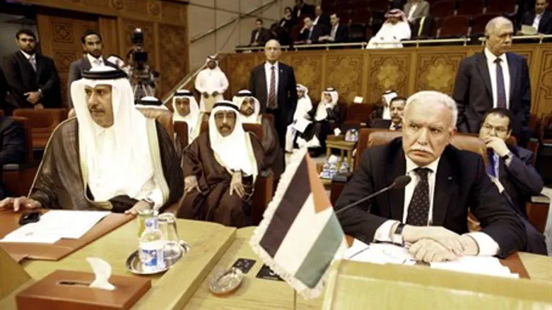 Arab League meeting in Cairo (file)