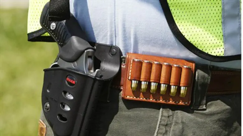 a handgun, holster and cartridges