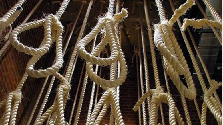  Nooses displayed in museum  