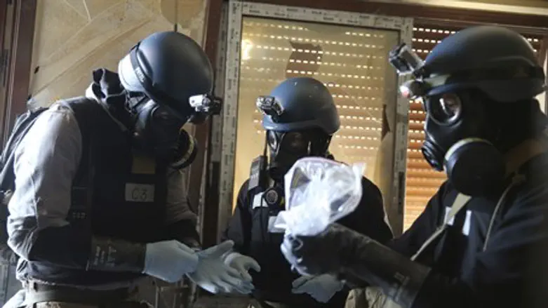 Chemical weapons experts in Syria