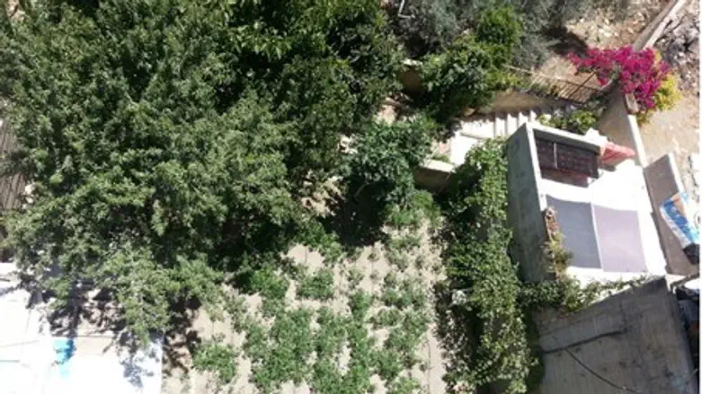 Aerial shot of courtyard of the Machpelah