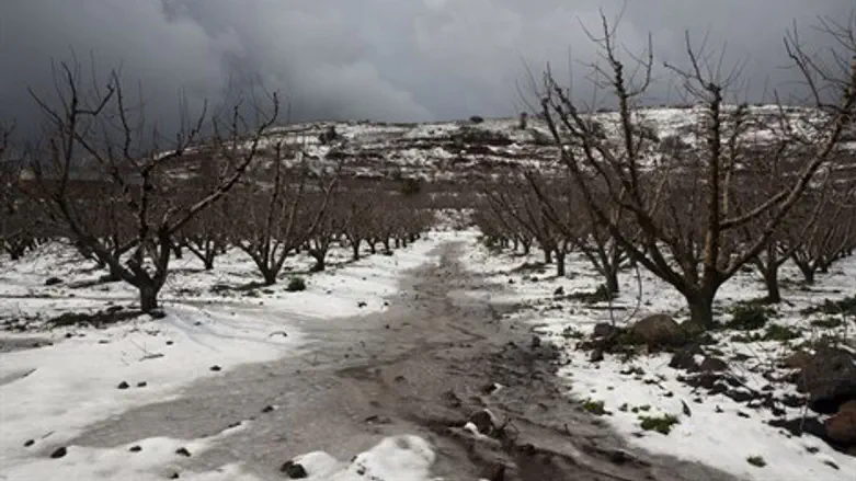 שלג בצפון הגולן. ארכיון