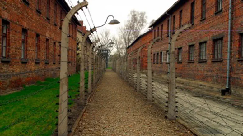 אושוויץ, Auschwitz 