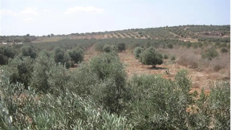 Israel Land Fund's Emek Zevulun Project