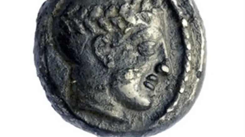 Coin from dig