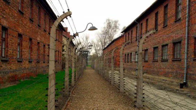 Освенцим. Иллюстрация