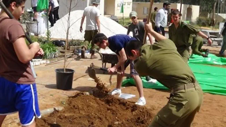 Ma'agalim youth renovate IDF base