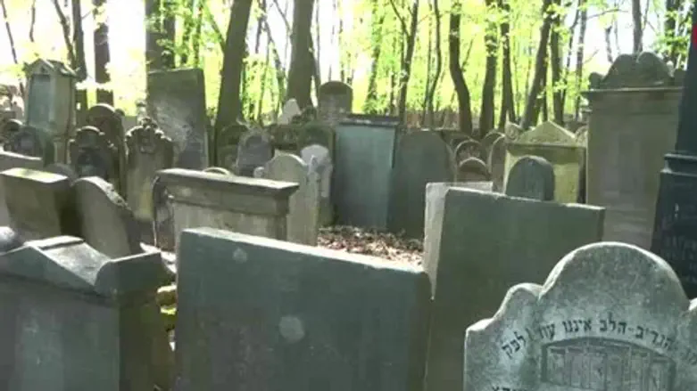 קברים בפולין