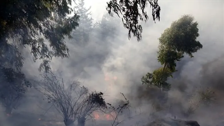Jerusalem forest fire in Ein Kerem
