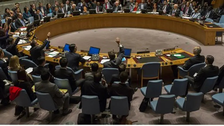 UN Security Council (file)