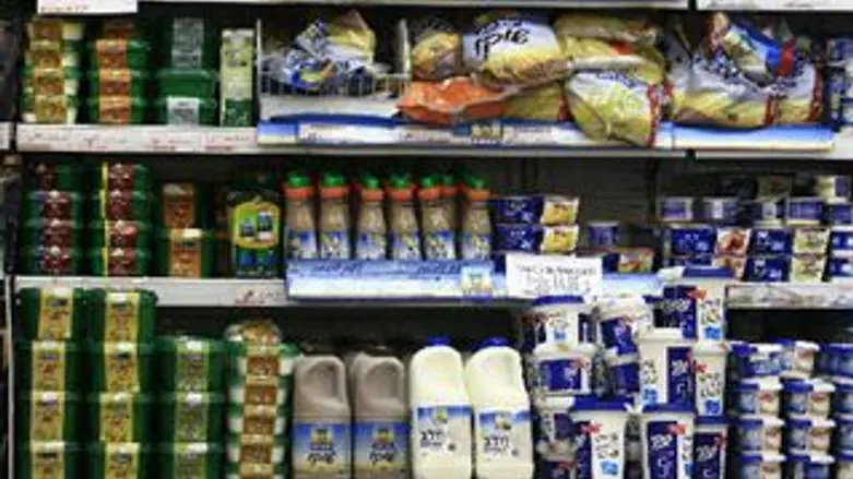 חלב ומוצריו על מדף הסופרמרקט