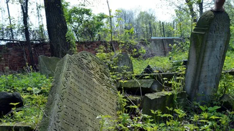 Abandoned Jewish cemetery