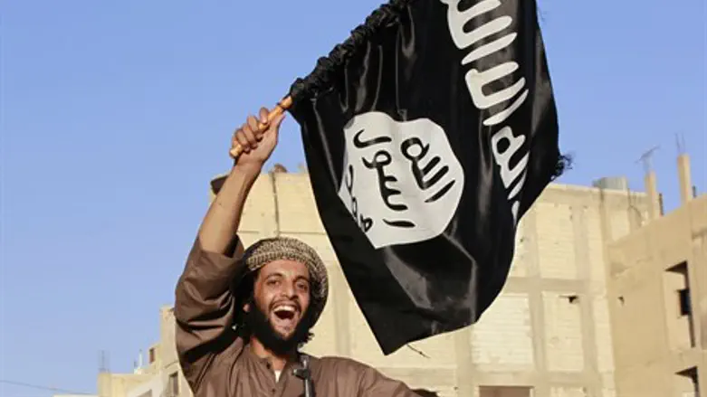 ISIS terrorist in Raqqa, Syria (file)