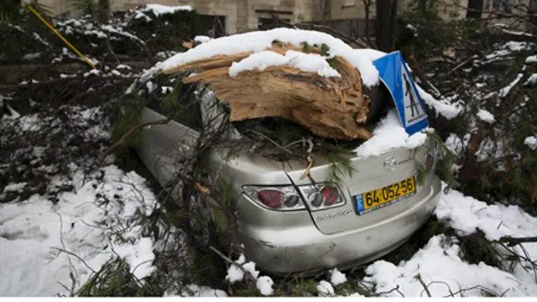 Snowstorm damage in Jerusalem (file)