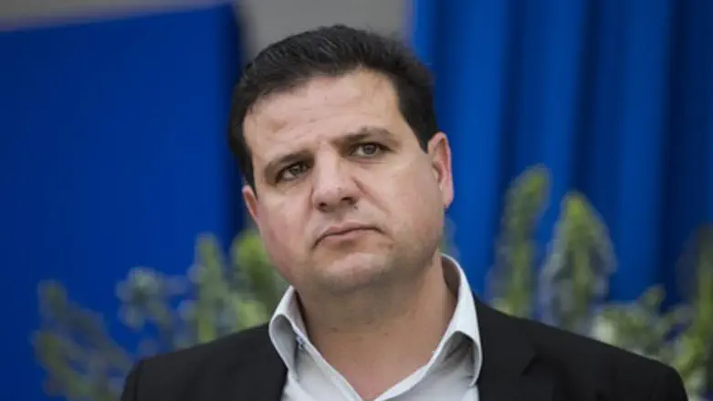 Joint List party head MK Ayman Odeh