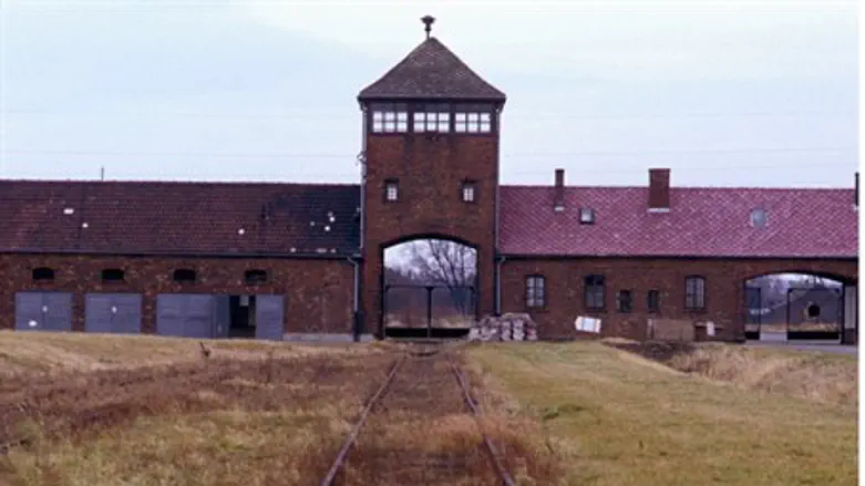 Освенцим. Иллюстрация