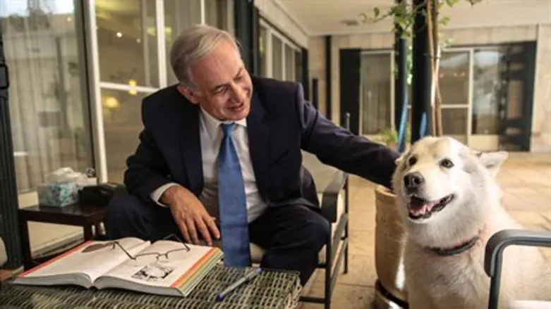 Нетаньяху и Кая