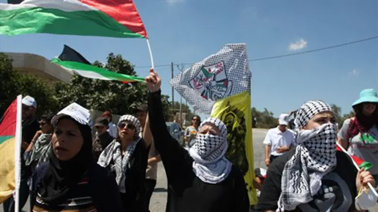 B'Tselem regularly encourages clashes between Palestinians and Israelis