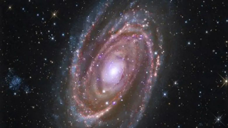 Spiral Galaxy M81, located about 12 million light years away from earth