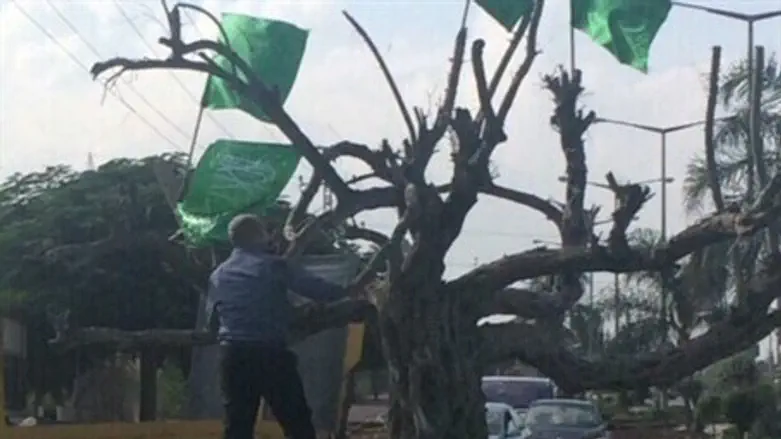 Беннет снимает флаги с дерева