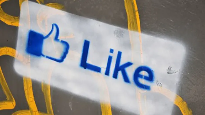 Facebook "like" (illustration)