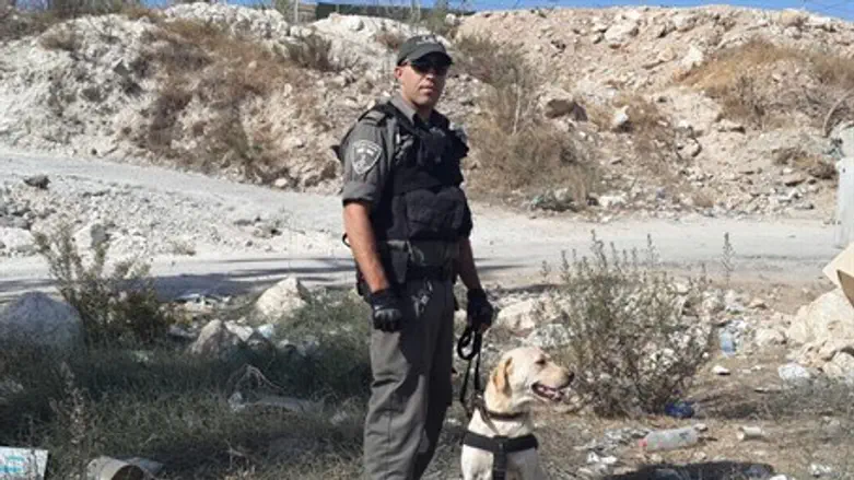 Полицейский и собака, обнаружившие бомбу