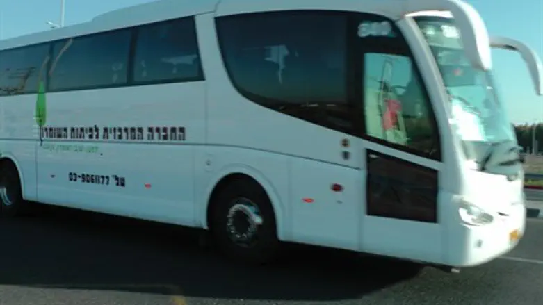 Samaria Bus (file) 
