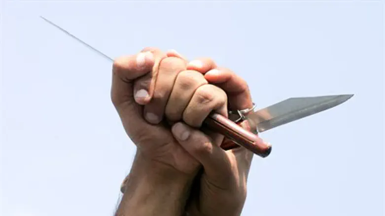 Arab terrorists brandish knives (file)