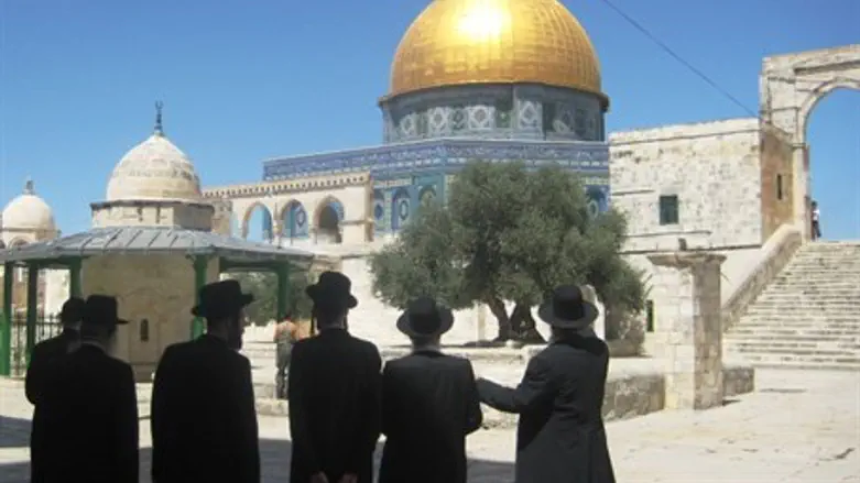 Rabbis on the Temple Mount