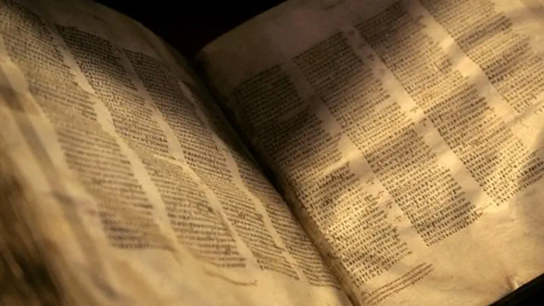 World's oldest New Testament - Codex Sinaiticus