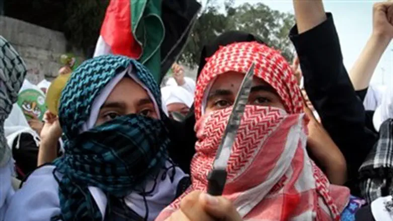 Arab brandishes a knife in Gaza